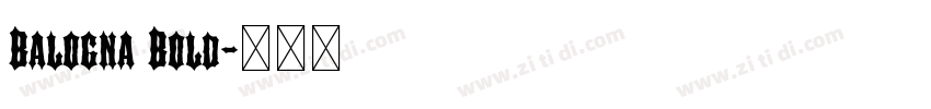 Balogna Bold字体转换